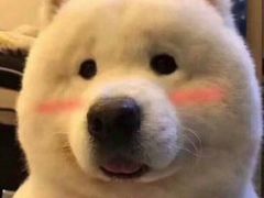 -咏春葱油饼(德政中路店)