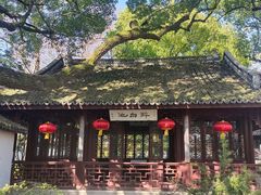 -上海醉白池公园
