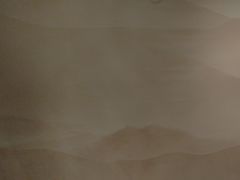 -九毛九西北菜(百信广场店)