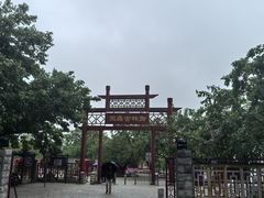 -御林古桑园