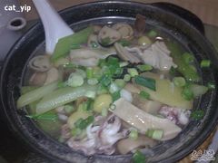 杂菇-瑞记湛江鸡饭店·粤西第一鸡(粤垦店)