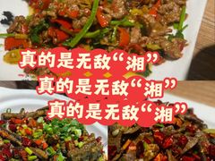 -三湘四水正宗湘菜(君峰路店)