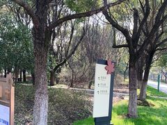 -贡湖湾湿地公园
