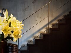 -Apollo·西班牙小酒馆(安福路店)