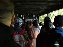 -怀托摩萤火虫洞