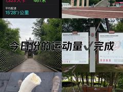 -铁山坪森林公园