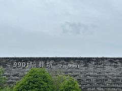 -秦始皇帝陵博物院-丽山园