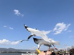 -大理洱海