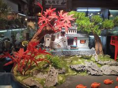 -双季花艺园艺市场(浦东店)
