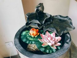 -清悦SPA美容