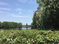 -上海美帆帆船露营基地
