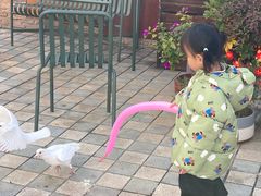 -华谊兄弟（长沙）电影小镇