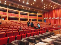 -刘老根大舞台-长春旗舰店