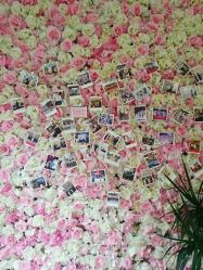 -新蝶变皮肤管理中心