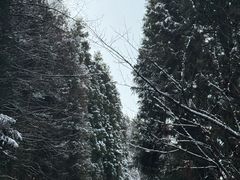 -太阳湾风景区