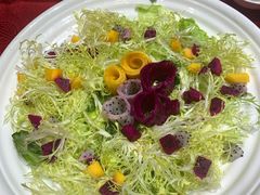 水果蔬菜沙拉-万柳阁小馆·花园餐厅(龙潭湖店)