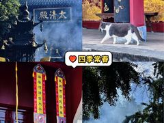 -长春观