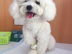 -联合动物医院(光谷诊疗中心)