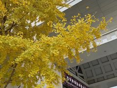 -西安赛瑞喜来登大酒店