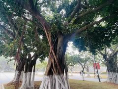 -厦门大学(思明校区)
