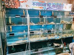 -东极岛海鲜