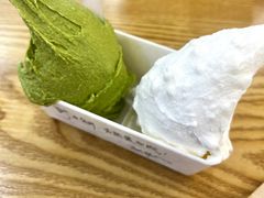-野人先生Gelato(上海长宁龙之梦店)