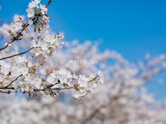 -上海辰山植物园