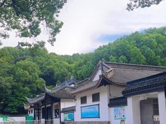-上海佘山国家森林公园天马山园
