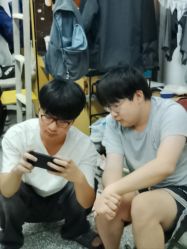 -YESIDO椰岛造型