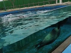 -芜湖新华联大白鲸海洋公园