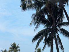 -雾山韩式烤肉·海南糟粕&椰子鸡火锅·海景餐厅(三亚绿发山海天JW万豪酒店)