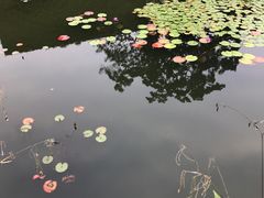 -星巴克(深圳前海企业公馆店)