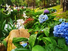 -人民公园(罗湖区)