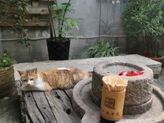 -周大娘牛乳(旧寨古村总店)