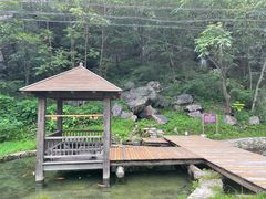 -大连天门山国家森林公园