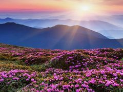 -文杏酒楼(一品天下店)