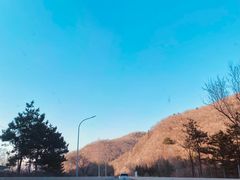 -华福羊汤馆(小市总店)
