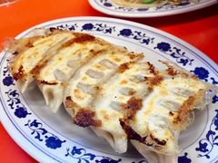 炸饺子-拉面莊夢語＆中华料理八椿