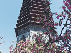 -玲珑塔公园