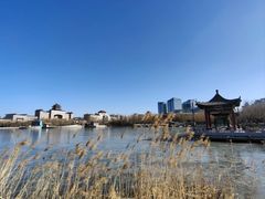 -莲花池公园