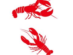 -壹家水货·小海鲜