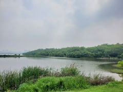 -盘龙城国家考古遗址公园