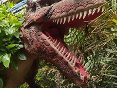 -呀路古热带植物园