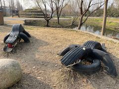-前小桔亲子创意农场·草莓采摘·露营烧烤