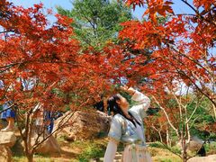 -广州市帽峰山景区