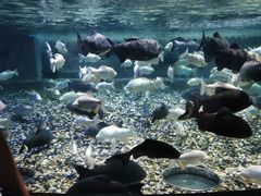 -成都浩海立方海洋公园