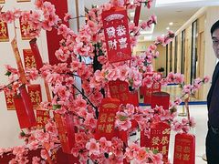 -合肥美奥口腔·种植矫正中心(政务院)