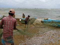 -尼甘布海鲜市场