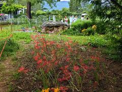 -国家植物园南园