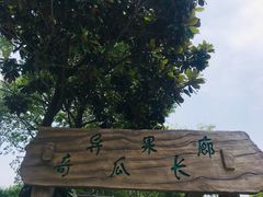 -南汇桃花村